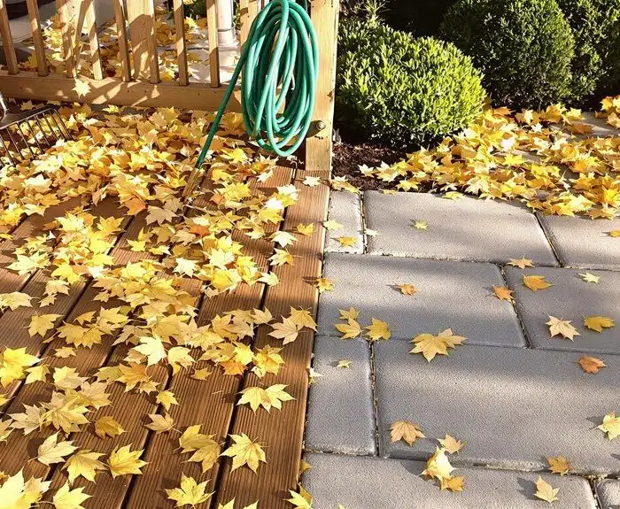 autumn garden and terrace cleaning