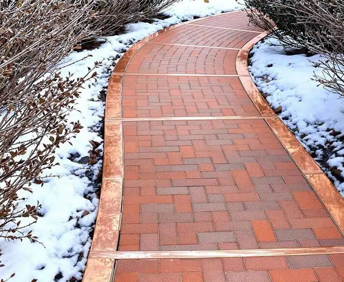 prevent winter moss growth